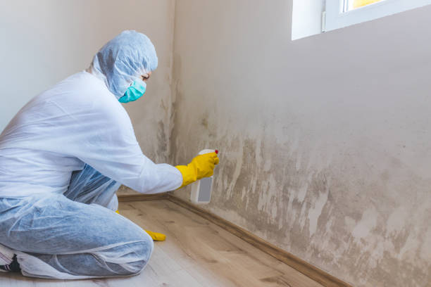 Licensed Mold Testing service in Camden, NJ - WQB Mold Removal