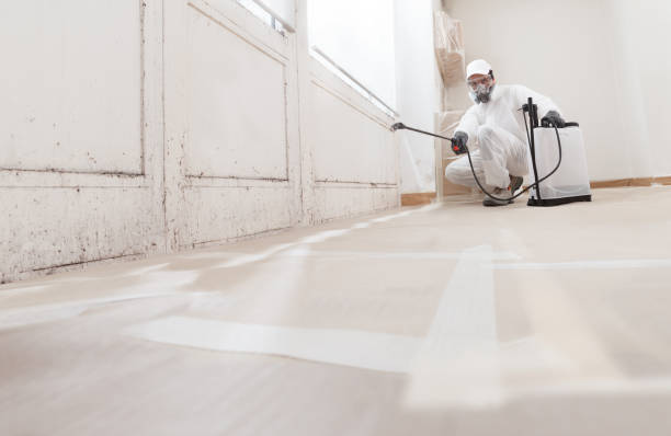 24/7 Emergency Mold Testing experts in Camden, NJ