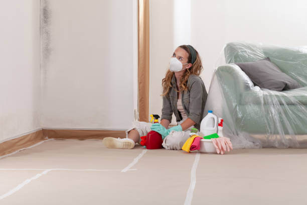 Trusted Mold Testing service in Camden, NJ - WQB Mold Removal